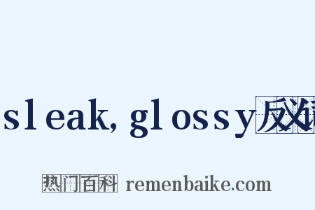 sleak,glossy反义词是什么意思的图片